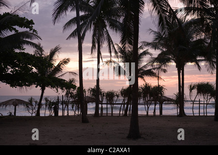 Coucher du soleil avec silhouette de palmiers, baie du Bengale, le Myanmar Banque D'Images