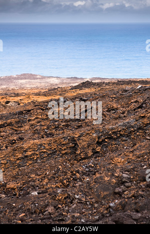 Plage recouverte de roche volcanique, la Réunion (département français d'outre-mer situé dans l'Océan Indien) Banque D'Images