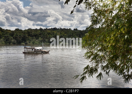 L'Amérique du Sud, Amazone, voyageant en bateau sur la rivière Banque D'Images