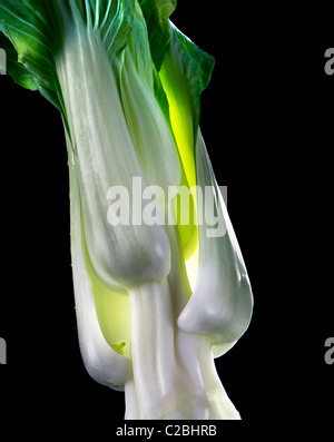 Légumes vert joie pack pak choi Bok choy Chine soupes de légumes sautés faites frire sur fond noir santé guérir veggie food Banque D'Images