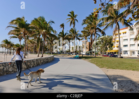 Lummus Park, South Beach, Miami Banque D'Images