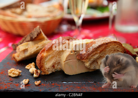 HAMSTER rigolo et FOIE GRAS Banque D'Images