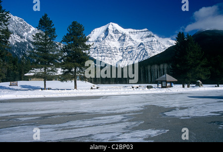 Le mont Robson British Columbia Canada Banque D'Images