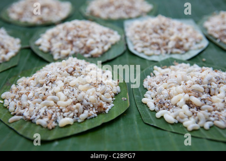 Vente de produits locaux sur le marché, c'est les fourmis les œufs et larves. Lampang Thaïlande Banque D'Images