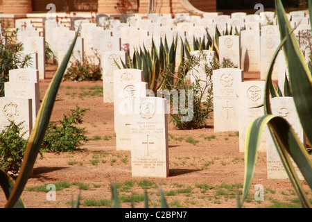 Le cimetière de guerre de Benghazi, Libye Banque D'Images