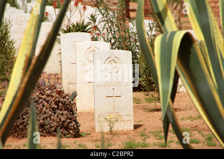 Le cimetière de guerre de Benghazi, Libye Banque D'Images