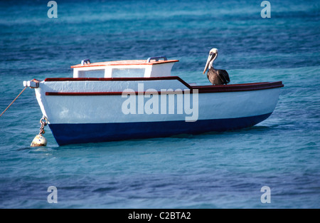 Aruba Banque D'Images