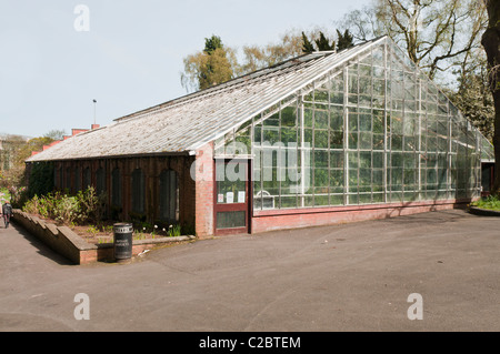 Ravin tropical, jardins botaniques, Belfast Banque D'Images