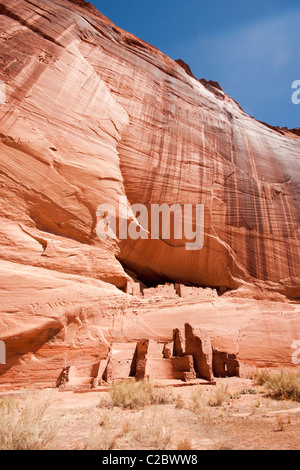 Ruines de la Maison Blanche, Canyon de Chelly National Monument. Chinle, Arizona, United States. Banque D'Images