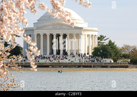 Thomas Jefferson Memorial encadrée par les fleurs de cerisier en pleine floraison. Banque D'Images