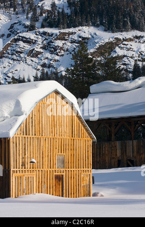 Granges couvertes de neige dans la haute vallée de Methow Washington USA Banque D'Images