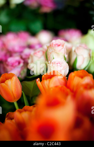 Bouquet de fleurs Banque D'Images