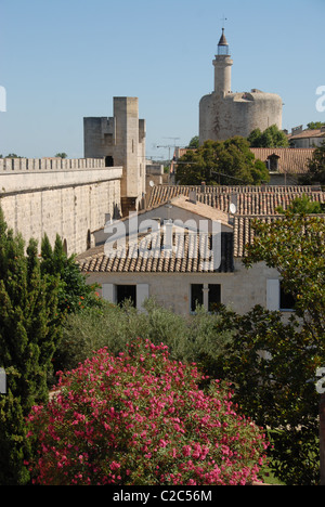 France, Languedoc-Roussillon, Gard, Camargue : la tour de Constance est l'emblème de la ville fortifiée d'Aigues-Mortes Banque D'Images