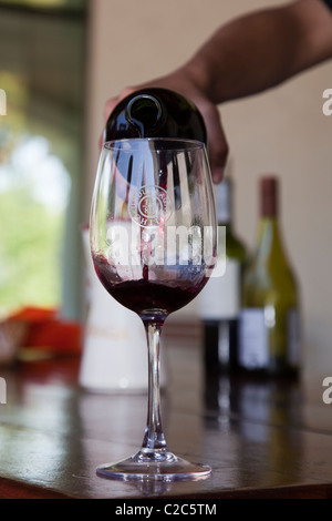 Beau vin rouge riche est versé dans un verre de vin. Vigne Undurraga, vallée du Maipo, au Chili, en Amérique du Sud. Banque D'Images