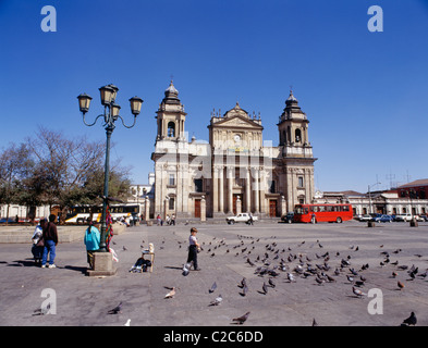 La ville de Guatemala est la capitale et la plus grande ville de la nation guatémaltèque. Le grand bâtiment Cathédrale Métropolitaine baroque Banque D'Images