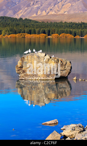 Le lac Tekapo Nouvelle Zélande Banque D'Images