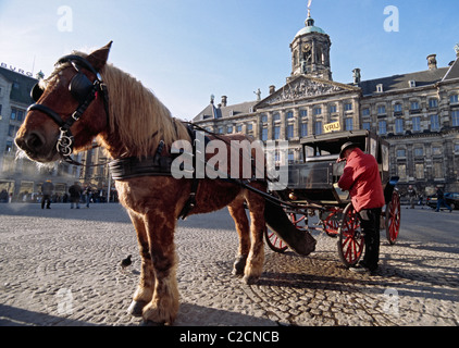Amsterdam, Pays-Bas. Projet de cheval et sa voiture devant le Palais Royal sur la Place Dam Banque D'Images
