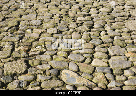 Chemin pavées - John Gollop Banque D'Images