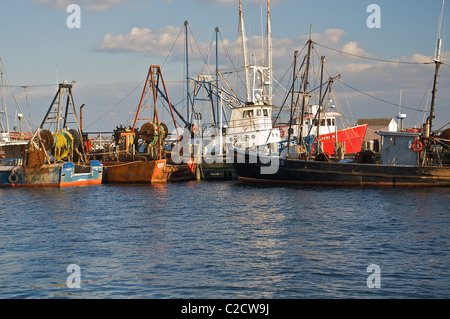 Les bateaux de pêche amarré à Provincetown, Cape Cod Banque D'Images