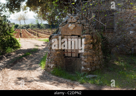 Dans et autour du village de Cotignac (Var, France) Banque D'Images