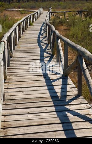Passerelle en bois, le Parc National de Doñana. La province de Huelva, Andalousie, Espagne Banque D'Images