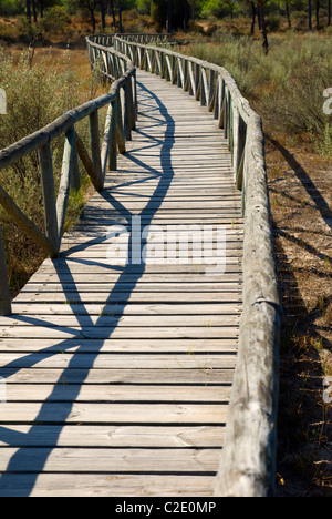 Passerelle en bois, le Parc National de Doñana. La province de Huelva, Andalousie, Espagne Banque D'Images