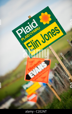 Plaid Cymru Wales 2011 Assemblée générale Gouvernement campagne électorale des bannières dans Elin Jones' circonscription Ceredigion, UK Banque D'Images