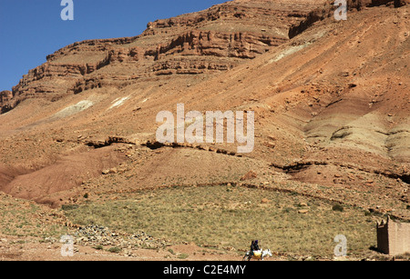 Vallée du Dadès, Ouarzazate province, Sous-Massa-Draa, Haut Atlas, Maroc, Afrique, Banque D'Images