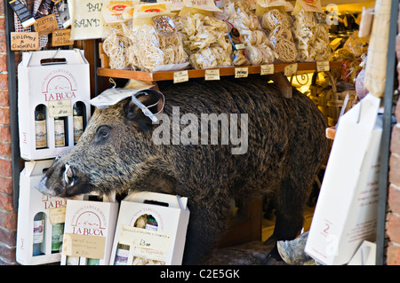 Sanglier en peluche à l'écran dans une boutique italienne Banque D'Images