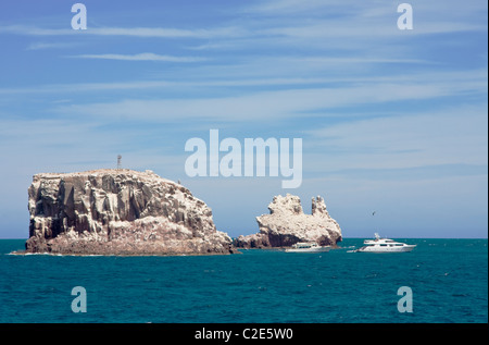 Les falaises recouvertes de guano au couple sitting in Beach Chairs rookery, lion de mer Mer de Cortez, Baja California, Mexique. Banque D'Images