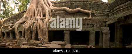 Ta Prom Temple, Angkor, Cambodge - vue panoramique de l'intérieur du temple Banque D'Images