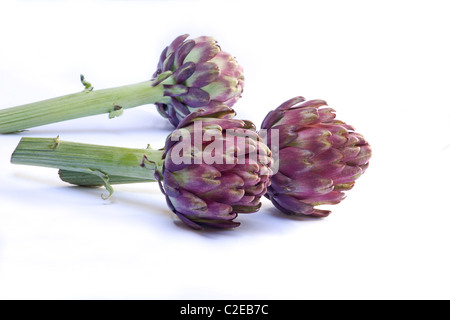 Close-up d'artichauts violets sur fond blanc Banque D'Images