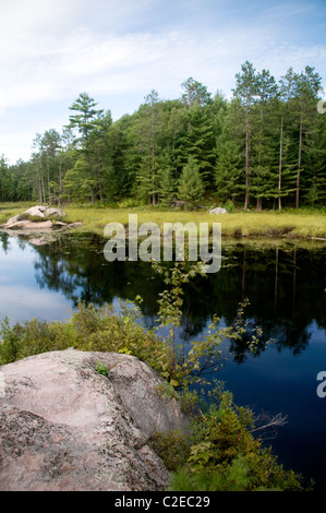 Une scène au bord du lac le long du sentier de randonnée Essens au parc provincial Bon Echo dans le sud de l'Ontario. Banque D'Images