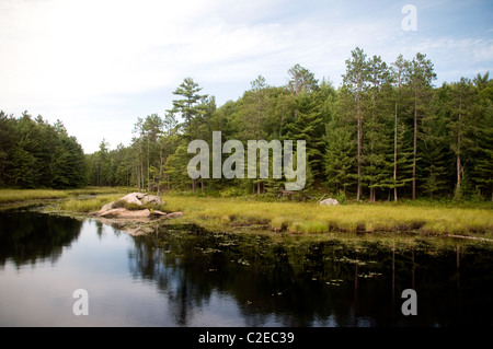 Une scène au bord du lac le long du sentier de randonnée Essens au parc provincial Bon Echo dans le sud de l'Ontario. Banque D'Images