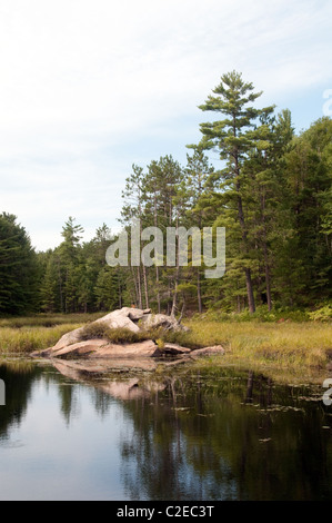 Une scène au bord du lac le long du sentier de randonnée Essens au parc provincial Bon Echo dans le sud de l'Ontario. Banque D'Images