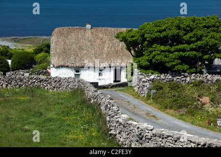 Chaumière blanchis à avec murs en pierre sèche et la baie de Galway derrière Banque D'Images