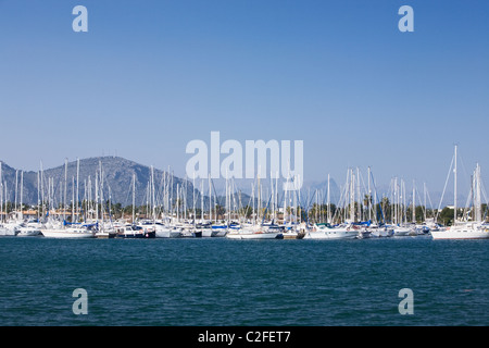 Vue sur le port avec les bateaux de plaisance, Alcudia, Majorque, Iles Baléares, Espagne Banque D'Images