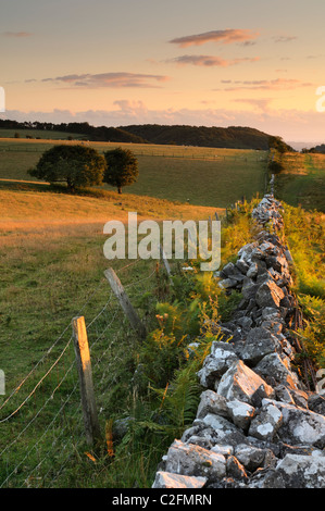 Un mur de pierres sèches et de clôtures qui traverse les terres agricoles vallonnées au bas de velours réserve naturelle sur les collines de Mendip, dans le Somerset. Banque D'Images