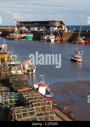 Les bateaux de pêche de Shell à Bridlington Harbour dans la lumière du soir Banque D'Images