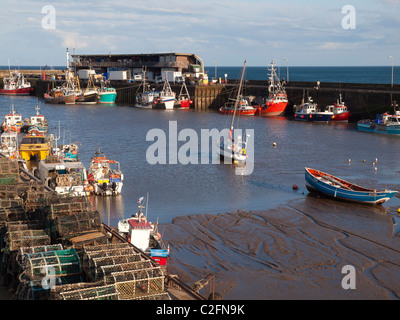 Les bateaux de pêche de Shell à Bridlington Harbour dans la lumière du soir Banque D'Images