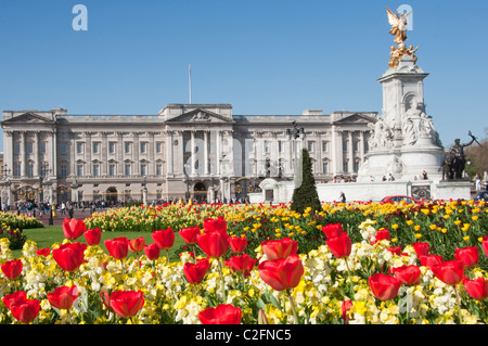 Buckingham palace au printemps. Londres. L'Angleterre. Banque D'Images