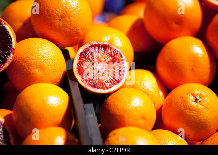 Marché Ballaro orange sanguine (mercato) Palerme Sicile Italie Banque D'Images