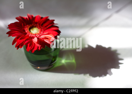 Fleur dans un verre sur une table de conférence Personne n Banque D'Images