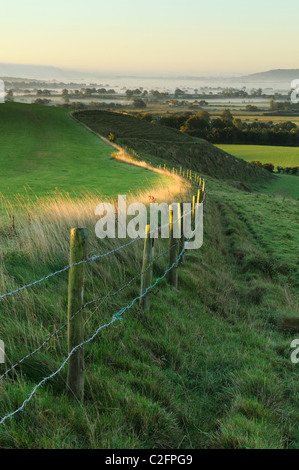 Une rangée de poteaux de clôture en bordure des terres agricoles dans l'Deverills, Wiltshire. Banque D'Images