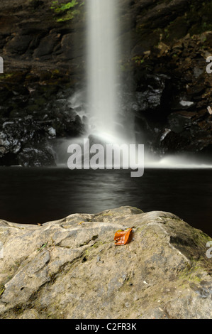 Un rocher au pied de Hardraw Force cascade, North Yorkshire Banque D'Images