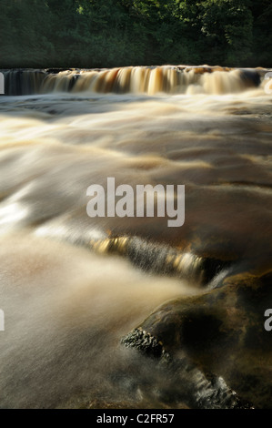 La rivière Ure circulant sur Aysgarth falls dans Wensleydale, Yorkshire du Nord. Banque D'Images