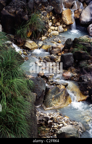 Taiwan Yangmingshan Hot Springs Banque D'Images