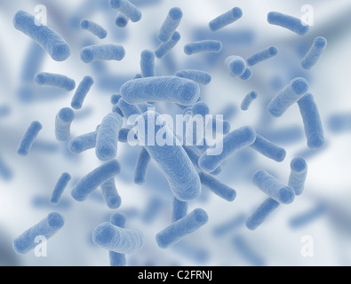 Arrière-plan scientifique les bactéries Banque D'Images