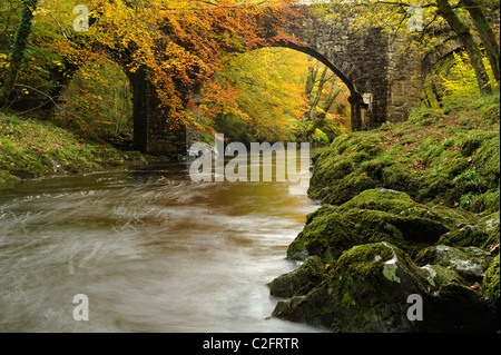 La rivière Dart coule sous le pont Holne, Devon. Banque D'Images