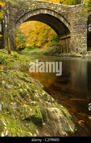 La rivière Dart coule sous le pont Holne, Devon. Banque D'Images